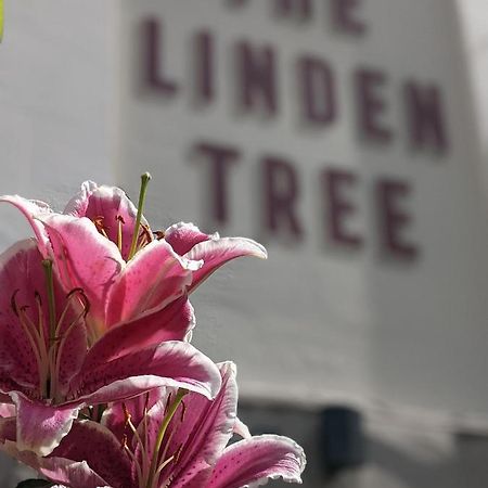 Bed and Breakfast Linden Tree Gloucester Zewnętrze zdjęcie
